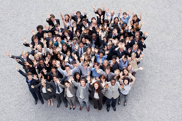 Our team